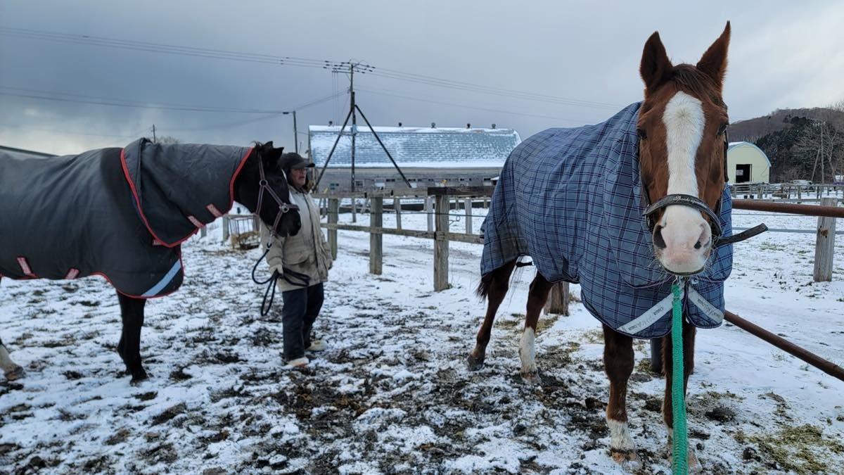 9743b5bfe092c1ec4a45816615d9e643-1765760592.jpg 9743b5bfe092c1ec4a45816615d9e643-1765760592.jpg